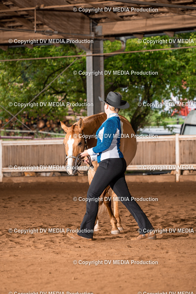 Erbach Tag 4-129 | dv-media-shop - Realisiert mit Pictrs.com