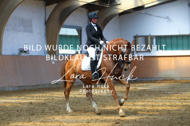 DKP45069 | larahueckfotografie