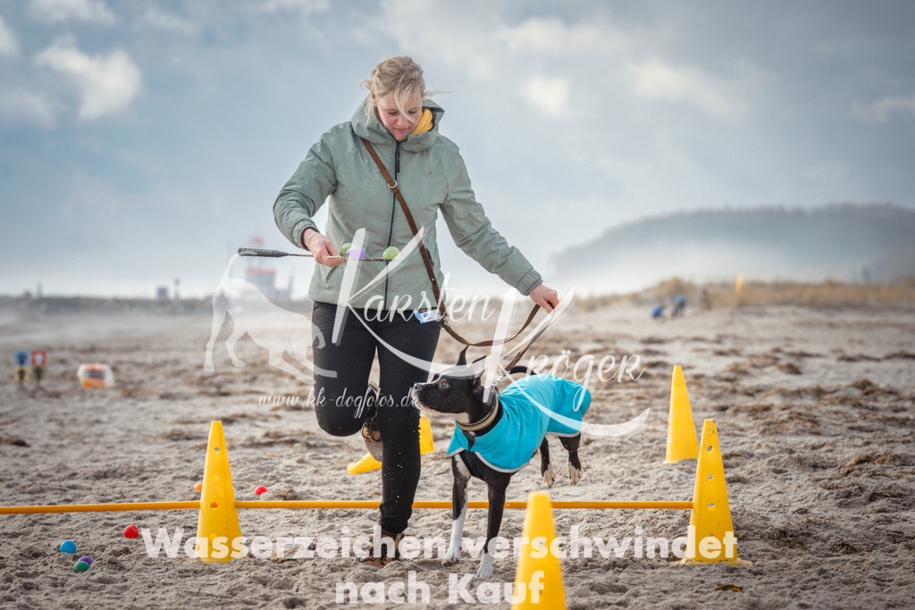 1159_ZZ93257 | kk-dogfotos