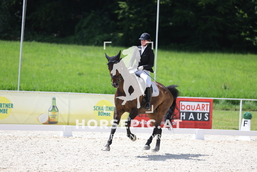 0P6A1328 | Willkommen bei Brunnmayr - Design & Fotografie – Ihrem Spezialisten für Reitturniere und Pferdeveranstaltungen in Oberösterreich, Salzburg und Bayern! Seit über 17 Jahren sind wir leidenschaftlich dabei.