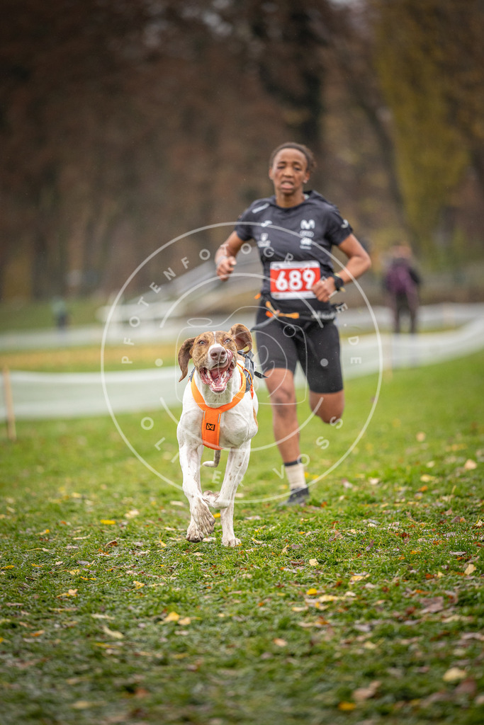 CaniXpix_DV3A8953 | Hundefotografie, Tierfotograf, Pfotenfotografie, Fotoshooting Hund, Hunde Portrait, Hundesport, Hundeportraits, Heideshooting, Hunde, Sportfotograf, Hundefotograf, Turnierhundsport, THS,  - Realisiert mit Pictrs.com