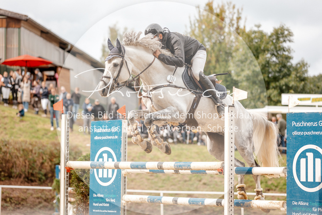 3I6A8228 | Stimmungsvolle Portraits und Reitsportfotografie im Ruhrgebiet und im Münsterland.

Pferdefotografie, Hundefotografie, Tierfotografie, Reportagen, Portraits von Tier und Mensch, Turnierfotografie in Bochum, Recklinghausen, Marl, Haltern am See, Dülmen.. - Realisiert mit Pictrs.com