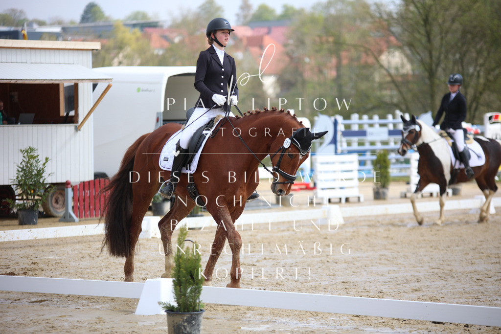 IMGT3518 | pl-fotografie