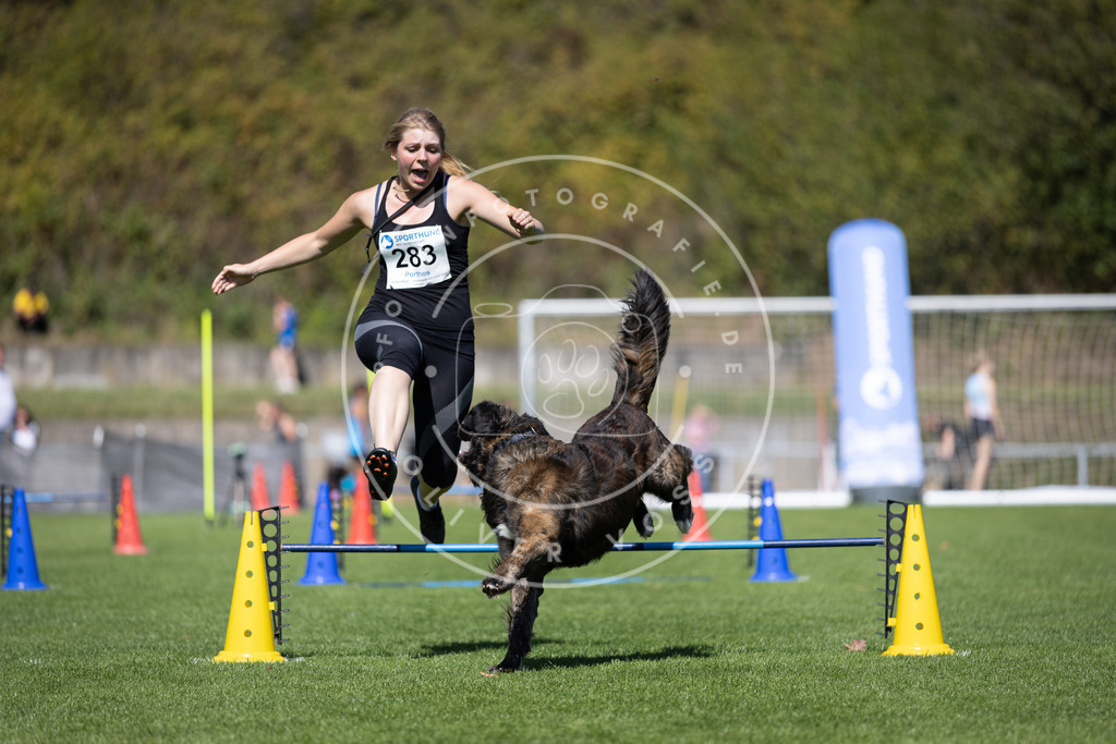 Pfotenfotografie_DV3A7178 | Hundefotografie, Tierfotograf, Pfotenfotografie, Fotoshooting Hund, Hunde Portrait, Hundesport, Hundeportraits, Heideshooting, Hunde, Sportfotograf, Hundefotograf, Turnierhundsport, THS,  - Realisiert mit Pictrs.com