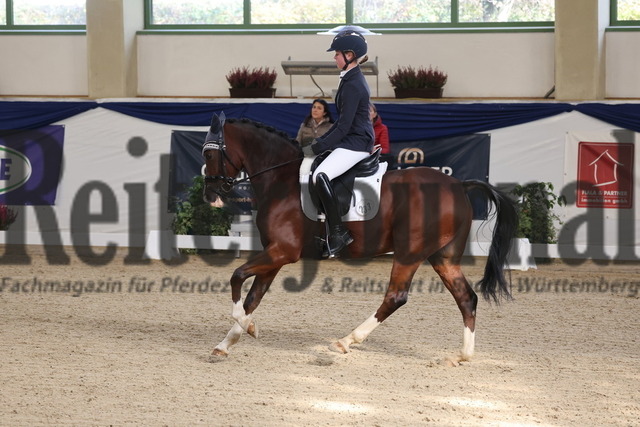 Ising_2025_Prfg.Nr.20_Pony-Dressurprfg.Kl.L_Kür_Valentina Sedlmayer_Der Duke 2 (6) | Alle Fotos der Reiterjournal Fotografin Doris Matthaes im Reiterjournal Online-Fotoshop. - Realisiert mit Pictrs.com