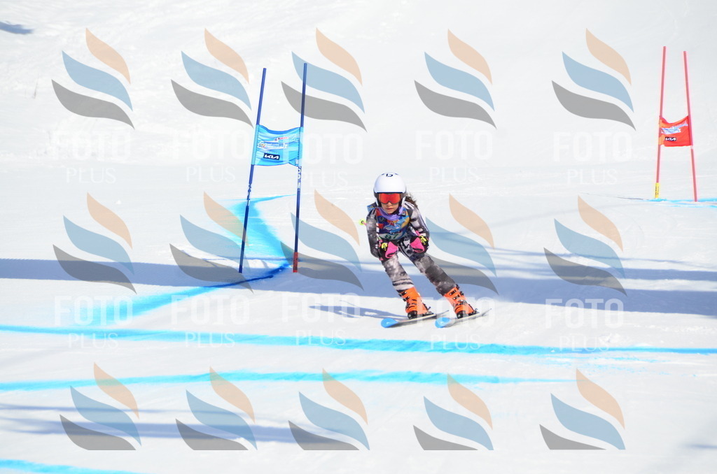 DSC_0578 | holidayphoto