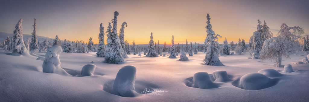 Goldenes Licht im Winterwunderland | Andre Wandrei - Nature Artworx - Realisiert mit Pictrs.com