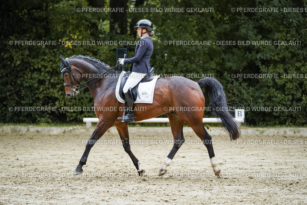 DSC00255 | Pferdegrafie