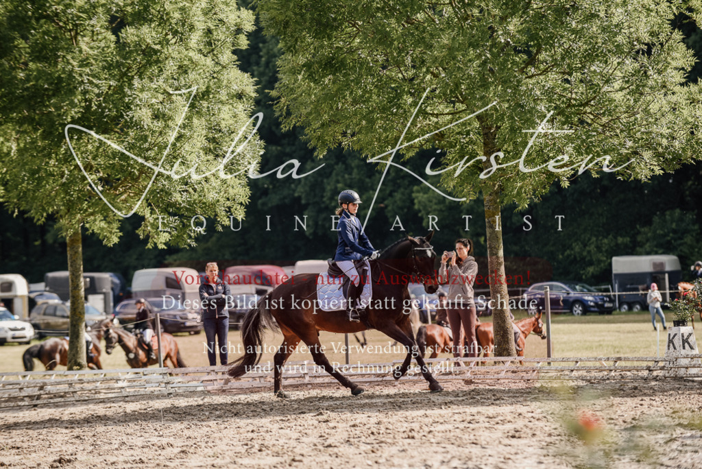 DSC_9158 | Pferde- und Turnierfotografie in Westsachsen. Pferdeportraits, Auftragszeichnungen und intuitive Kunst.