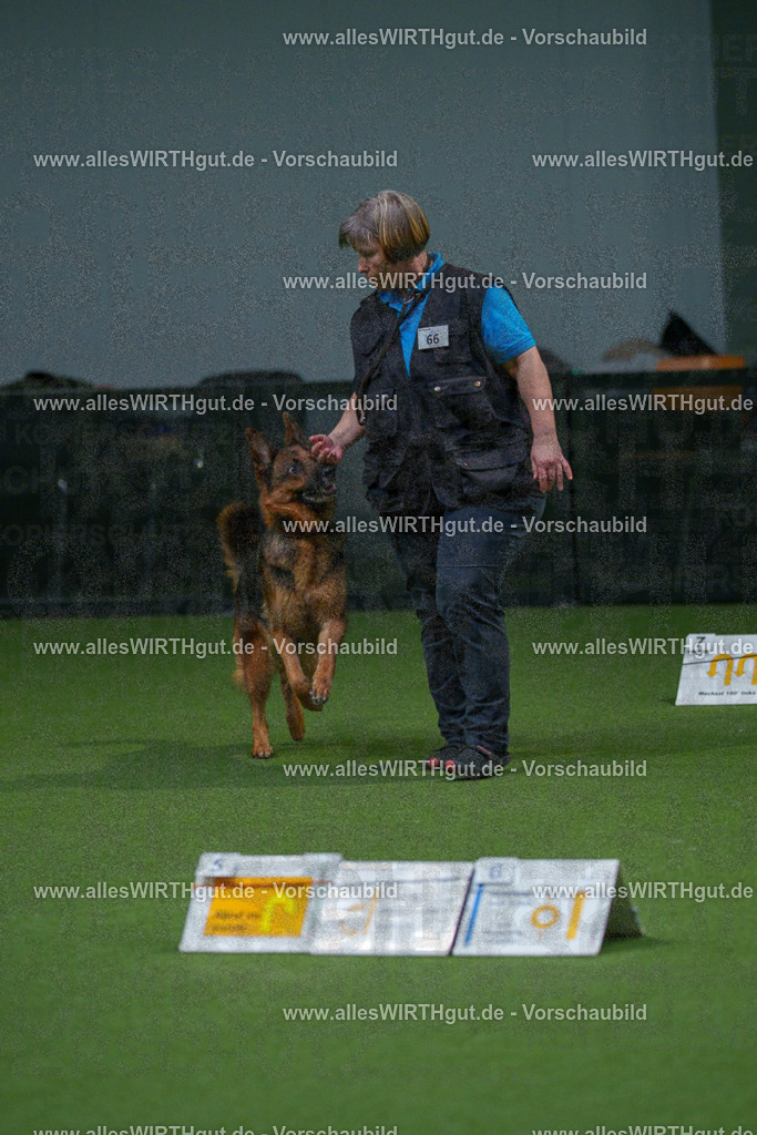 7R507951 | Professionelle Tierfotografie in Mönchengladbach von Daniel Wirth (allesWIRTHgut). Liebevolle & natürliche Bilder von Hunden & Katzen für unvergessliche Erinnerungen.