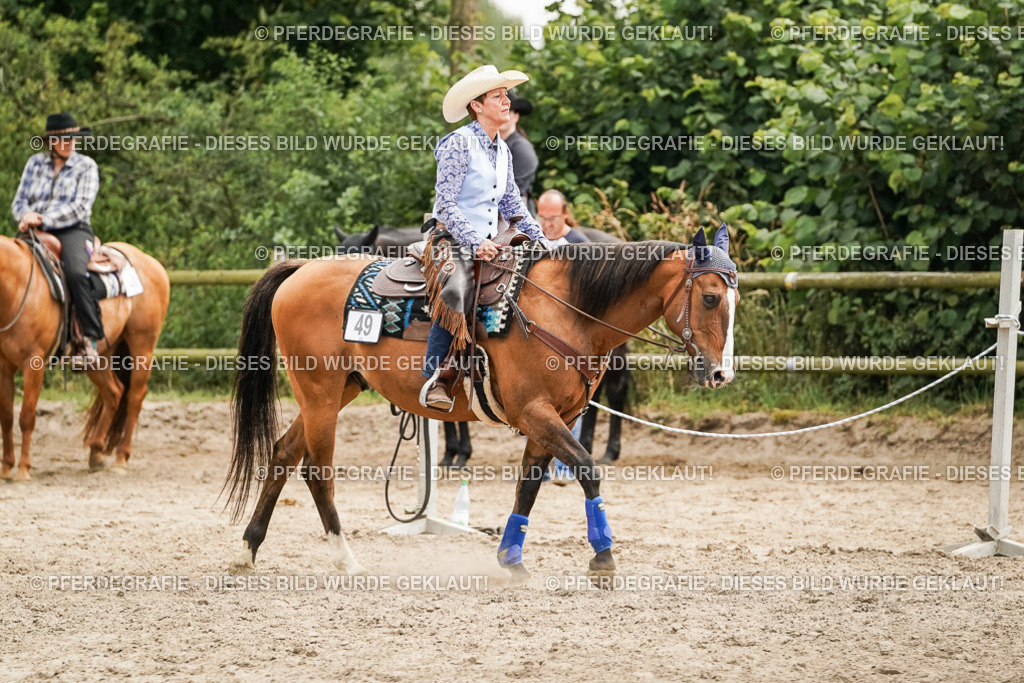 DSC09176 | Pferdegrafie