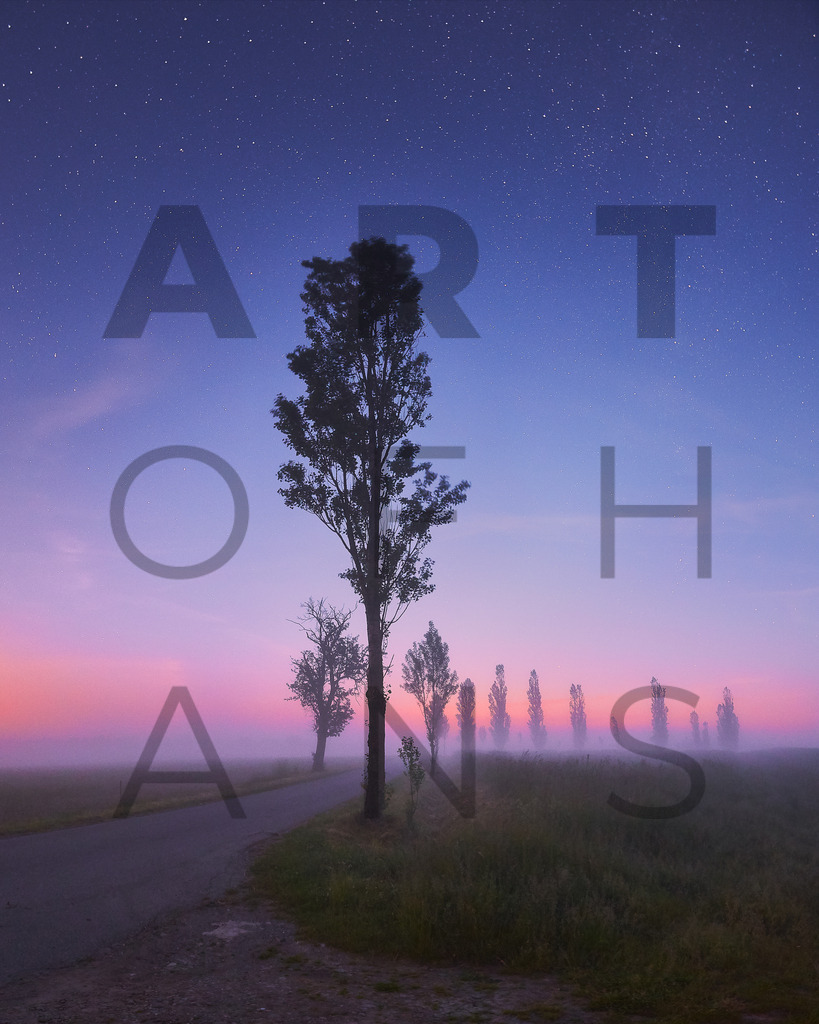 Ein Hans Fineart Original | Entdecke die Kunst von Hans Fineart - Fotografien für dein Zuhause. Verwandle deine Wände mit einzigartigen Kunstwerken und bringe die Schönheit der Welt in dein Leben. Bestelle jetzt und schaffe einen Ort der Inspiration und Eleganz.