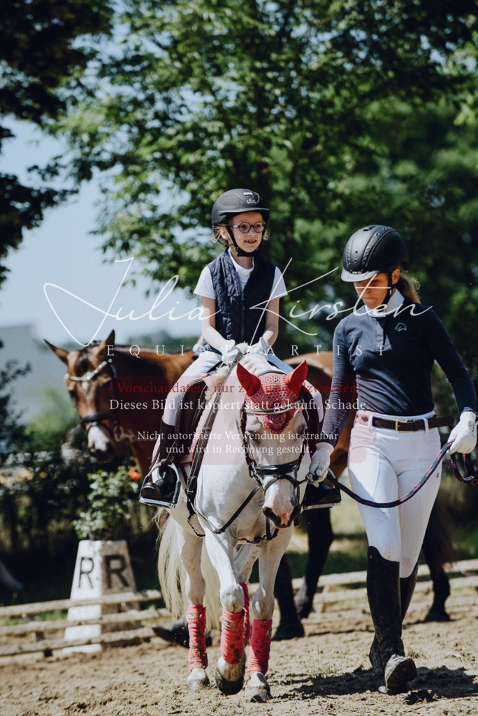 DSC_2553 | Pferde- und Turnierfotografie in Westsachsen. Pferdeportraits, Auftragszeichnungen und intuitive Kunst.