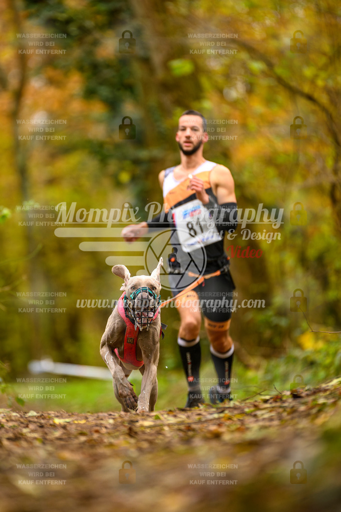 MompixPhotography_Bischwiller24_SA_Canicross-93 | PayLife