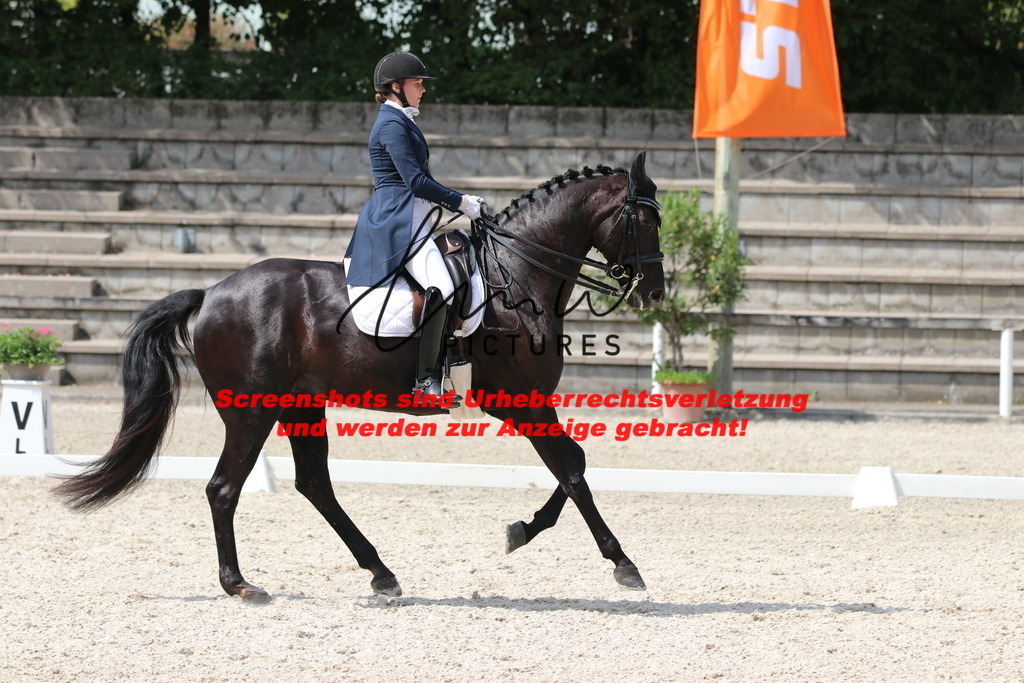 IMG_7067 | lmwpictures - Realisiert mit Pictrs.com