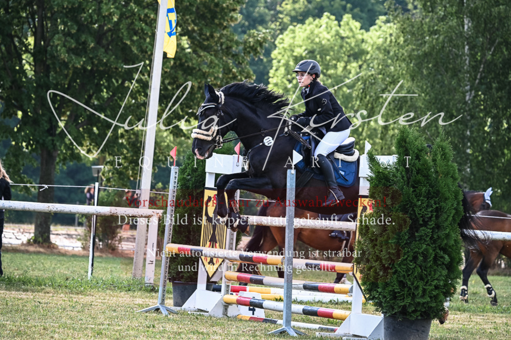 DSC_7880 | Pferde- und Turnierfotografie in Westsachsen. Pferdeportraits, Auftragszeichnungen und intuitive Kunst.