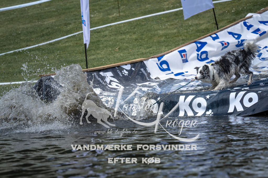 1124_ZZ91920 | kk-dogfotos