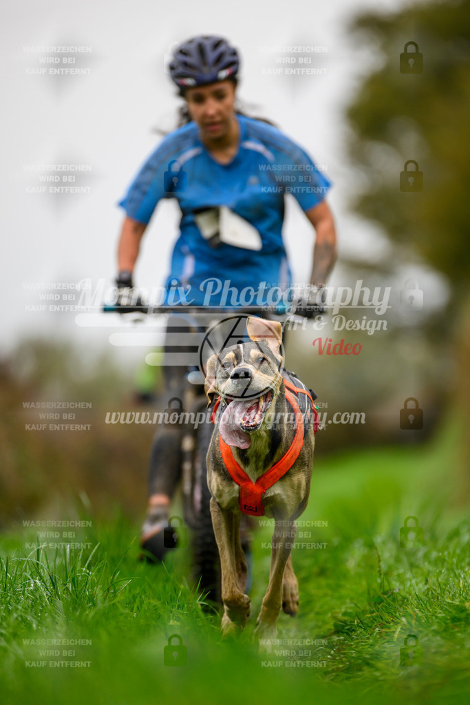MompixPhotography_20TSB_E8_DS1-42 | PayLife