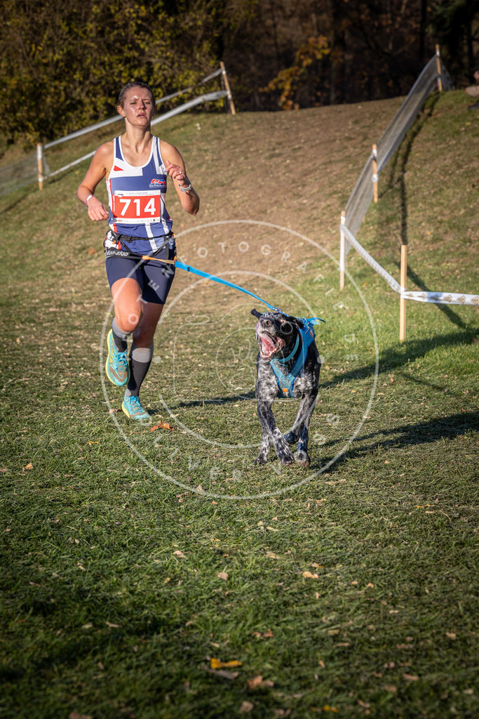 CaniXpix_0L8A9538 | Hundefotografie, Tierfotograf, Pfotenfotografie, Fotoshooting Hund, Hunde Portrait, Hundesport, Hundeportraits, Heideshooting, Hunde, Sportfotograf, Hundefotograf, Turnierhundsport, THS,  - Realisiert mit Pictrs.com