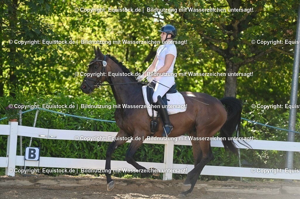 20230715_06_Dressurpferdeprfg. Kl.A_0286 | equistock