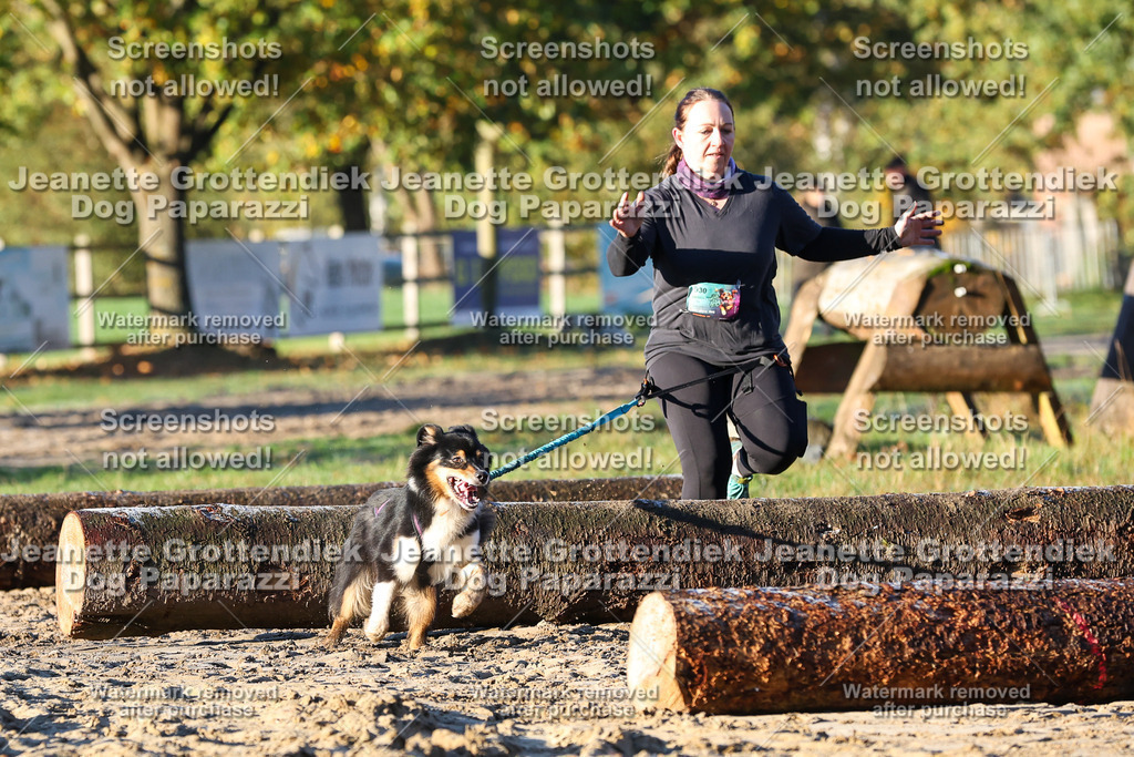 Dog Paparazzi - Strongdog 10-25-706 | Dog Paparazzi Jeanette Grottendiek Fotografie & Videografie - Realisiert mit Pictrs.com