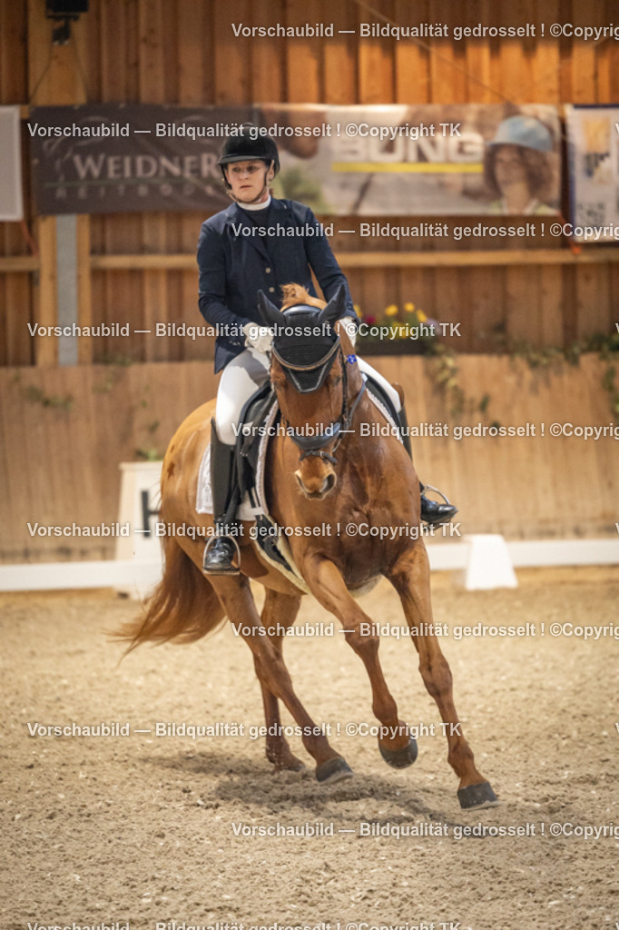 _D5A9931 | Emotionale Pferde- & People-Fotografie rund um Heidelberg, Leimen & Umgebung. Natürliche Fotos von Pferd, Mensch & Familie. Jetzt Termin sichern!