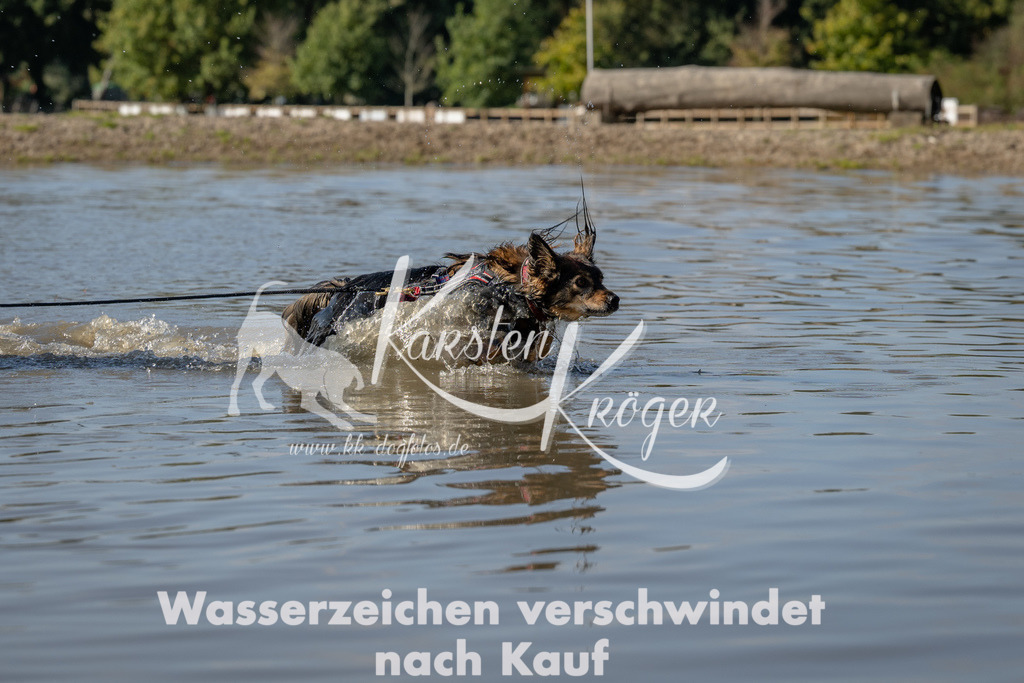 1405_ZZ91702 | kk-dogfotos