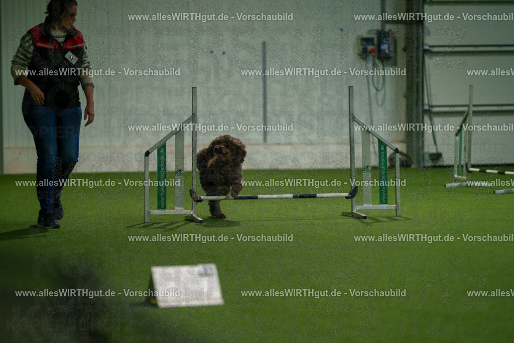 7R508378 | Professionelle Tierfotografie in Mönchengladbach von Daniel Wirth (allesWIRTHgut). Liebevolle & natürliche Bilder von Hunden & Katzen für unvergessliche Erinnerungen.