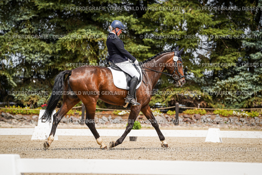 DSC03613 | Pferdegrafie