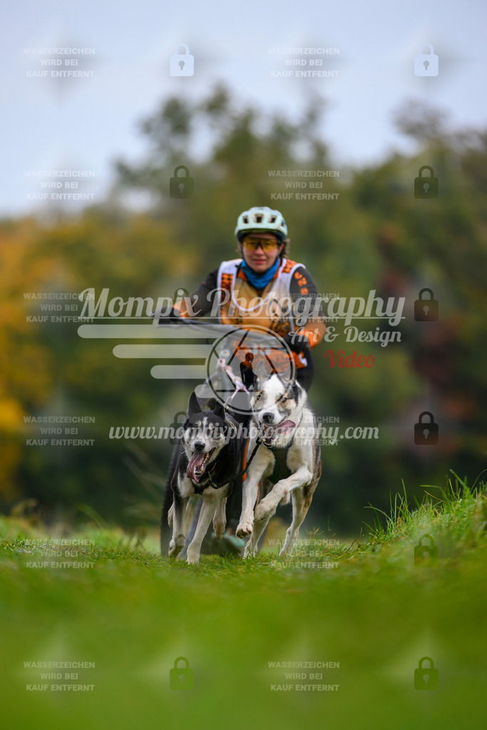 MompixPhotography_CDLBDB2025_DI_DS-12 | PayLife