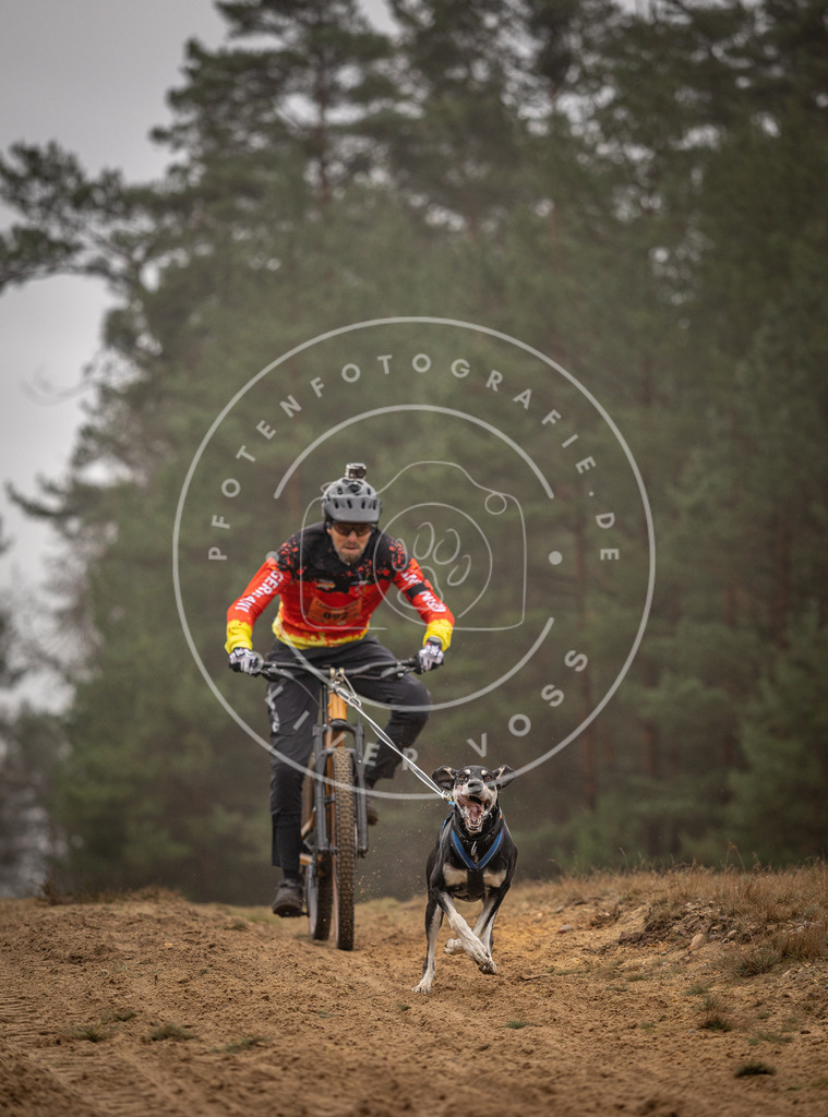 Pfotenfotografie_DV3A2985 | Hundefotografie, Tierfotograf, Pfotenfotografie, Fotoshooting Hund, Hunde Portrait, Hundesport, Hundeportraits, Heideshooting, Hunde, Sportfotograf, Hundefotograf, Turnierhundsport, THS,  - Realisiert mit Pictrs.com