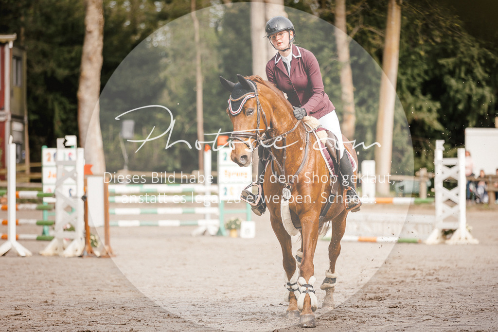 3I6A3227 | Stimmungsvolle Portraits und Reitsportfotografie im Ruhrgebiet und im Münsterland.

Pferdefotografie, Hundefotografie, Tierfotografie, Reportagen, Portraits von Tier und Mensch, Turnierfotografie in Bochum, Recklinghausen, Marl, Haltern am See, Dülmen.. - Realisiert mit Pictrs.com