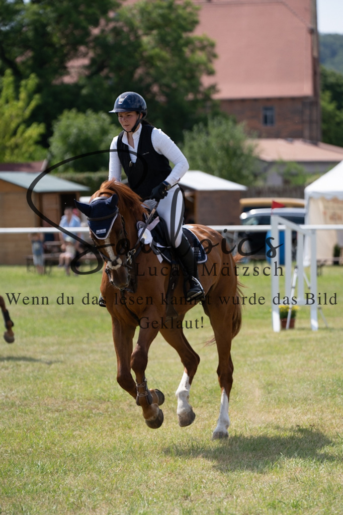 A7V01762 | Turnier/Reitfotograf