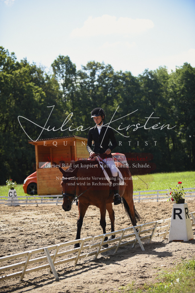 DSC_0506 | Pferde- und Turnierfotografie in Westsachsen. Pferdeportraits, Auftragszeichnungen und intuitive Kunst.