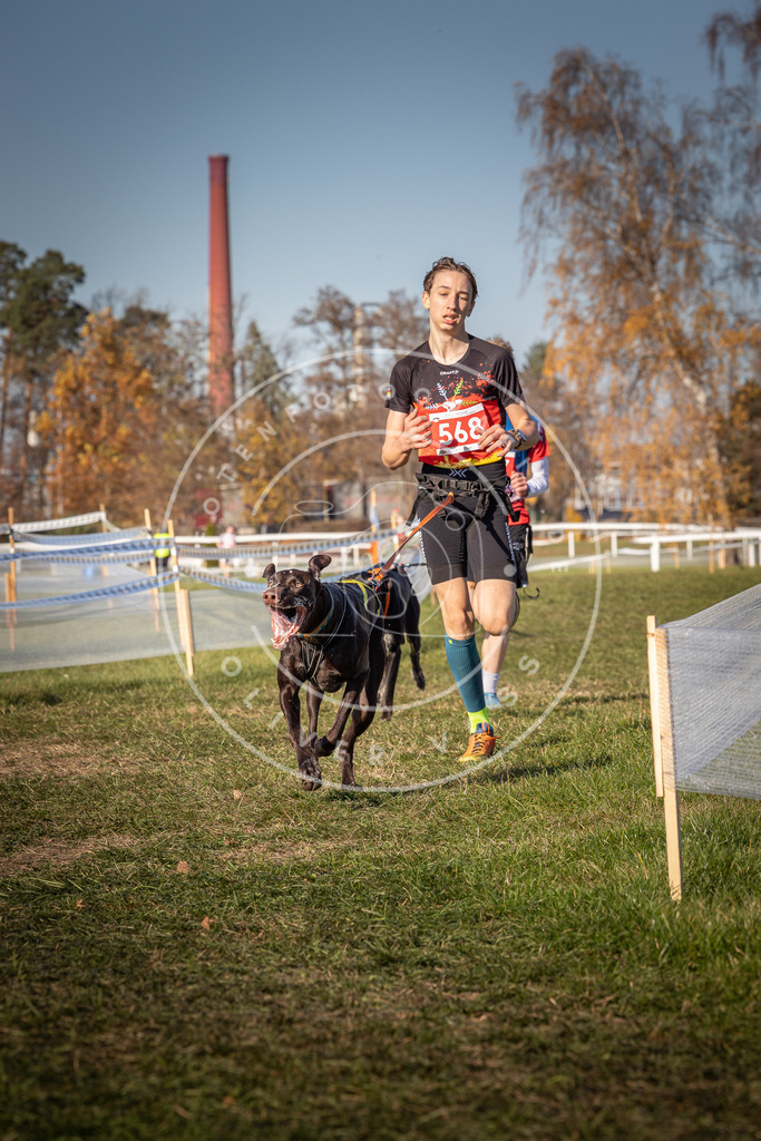 CaniXpix_0L8A7981 | Hundefotografie, Tierfotograf, Pfotenfotografie, Fotoshooting Hund, Hunde Portrait, Hundesport, Hundeportraits, Heideshooting, Hunde, Sportfotograf, Hundefotograf, Turnierhundsport, THS,  - Realisiert mit Pictrs.com