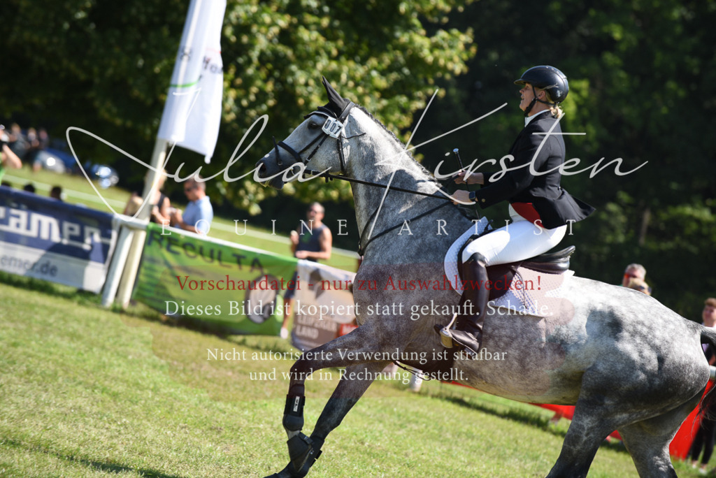 DSC_9532 | Pferde- und Turnierfotografie in Westsachsen. Pferdeportraits, Auftragszeichnungen und intuitive Kunst.