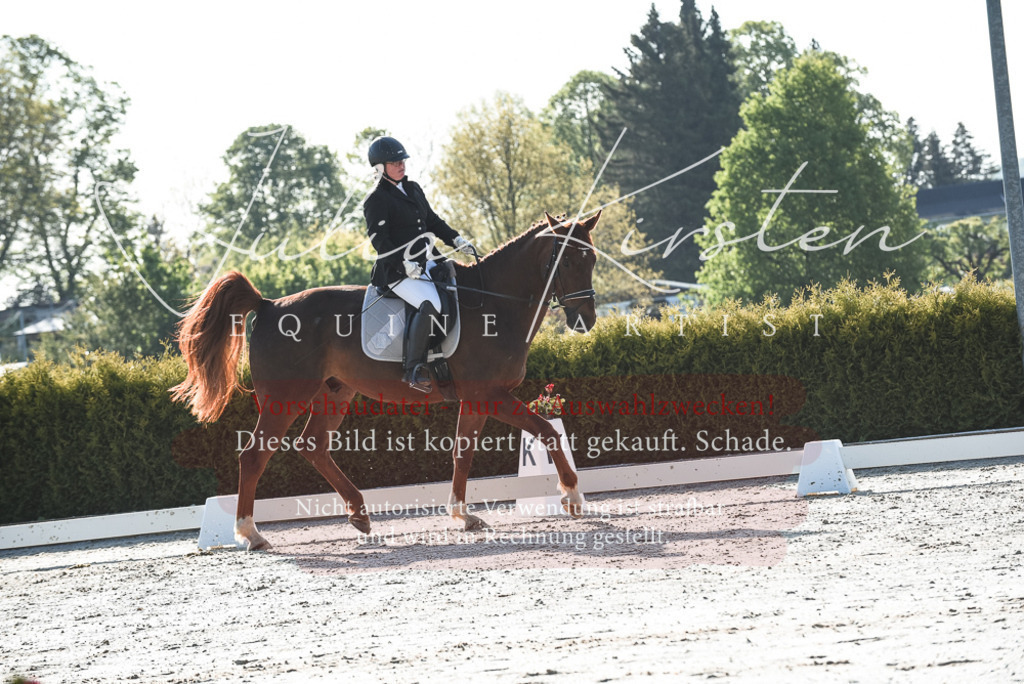 20230518_JK-Röhrsdorf-09-0509 | Pferde- und Turnierfotografie in Westsachsen. Pferdeportraits, Auftragszeichnungen und intuitive Kunst.