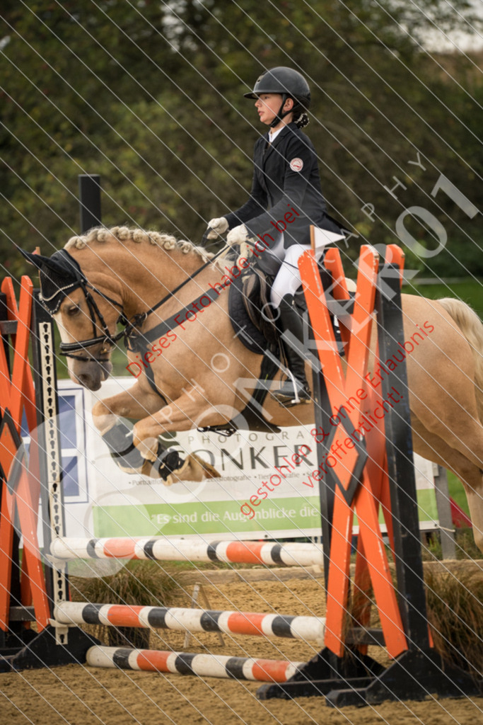 DSC_7381 | Sport-, Event- und Tierfotos in Profiqualität. Einfach auswählen, bestellen und herunterladen. Dein Moment – perfekt festgehalten.