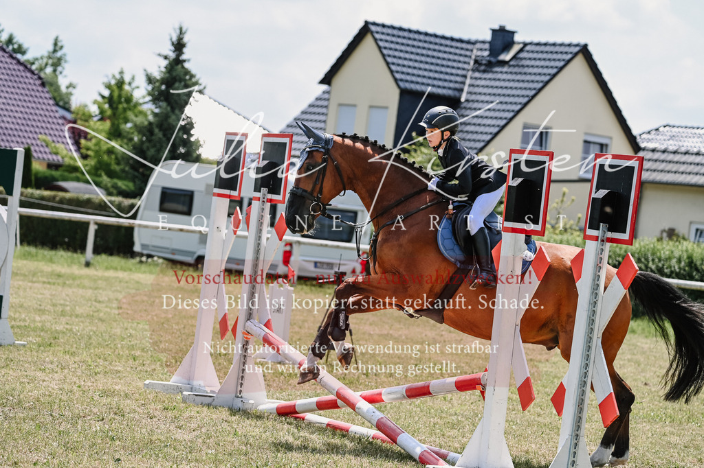DSC_9681 | Pferde- und Turnierfotografie in Westsachsen. Pferdeportraits, Auftragszeichnungen und intuitive Kunst.