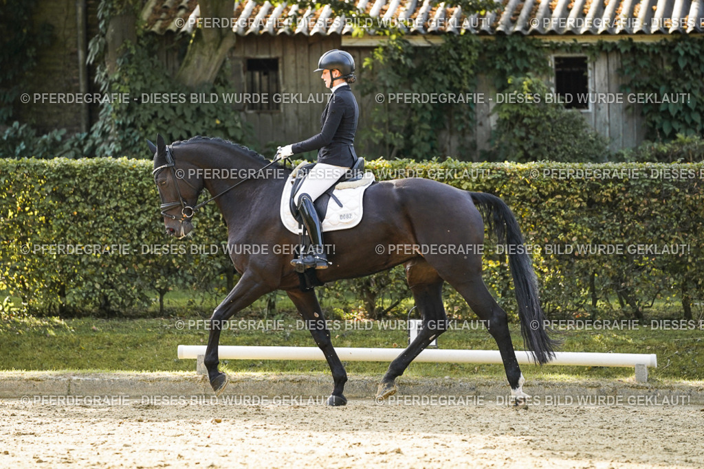 DSC05454 | Pferdegrafie