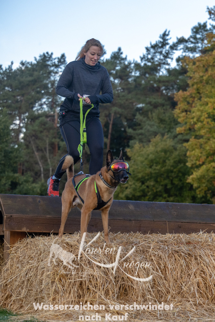 0843_ZZ91255 | kk-dogfotos