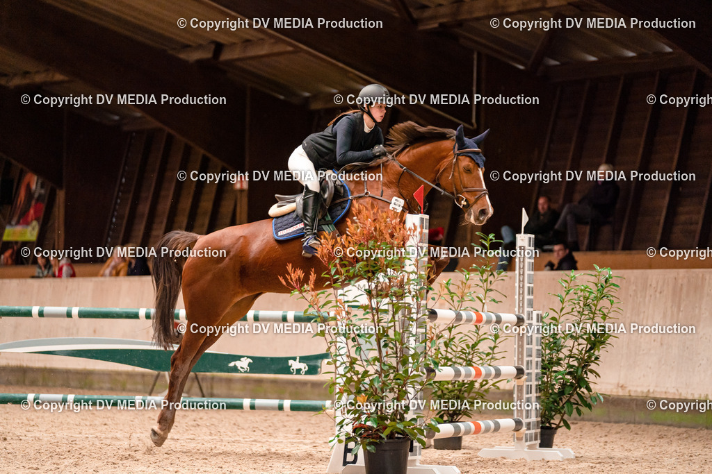 Springen Tag 1-432 | dv-media-shop - Realisiert mit Pictrs.com