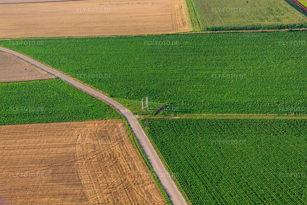 Luftbild: Stehlen am Pfälzer Panoramabänkel in Herxheim bei Landau im Bundesland Rheinland-Pfalz in Deutschland. Foto: IMG_70199.jpg vom 19.07.2014 durch Werner Riehm/FLY-FOTO.de