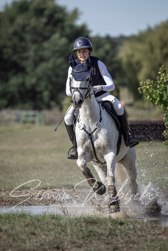 20250907-_3LI9801 | Tierfotografie Pferde, Hunde, Katzen, Haustiere.
Turnierfotografie Reitturniere, Reiten, Springreiten, Dressur in Hanau, dem Main-Kinzig-Kreis und dem Rhein-Main- Gebiet um Frankfurt