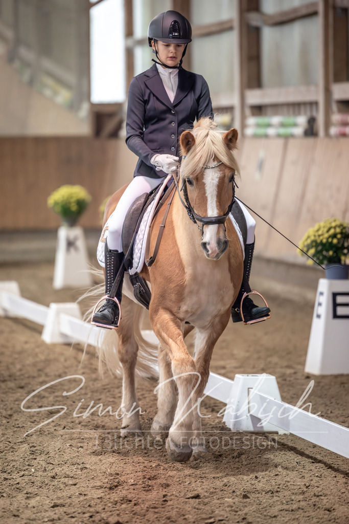 20251011-_3LI0482 | Tierfotografie Pferde, Hunde, Katzen, Haustiere.
Turnierfotografie Reitturniere, Reiten, Springreiten, Dressur in Hanau, dem Main-Kinzig-Kreis und dem Rhein-Main- Gebiet um Frankfurt