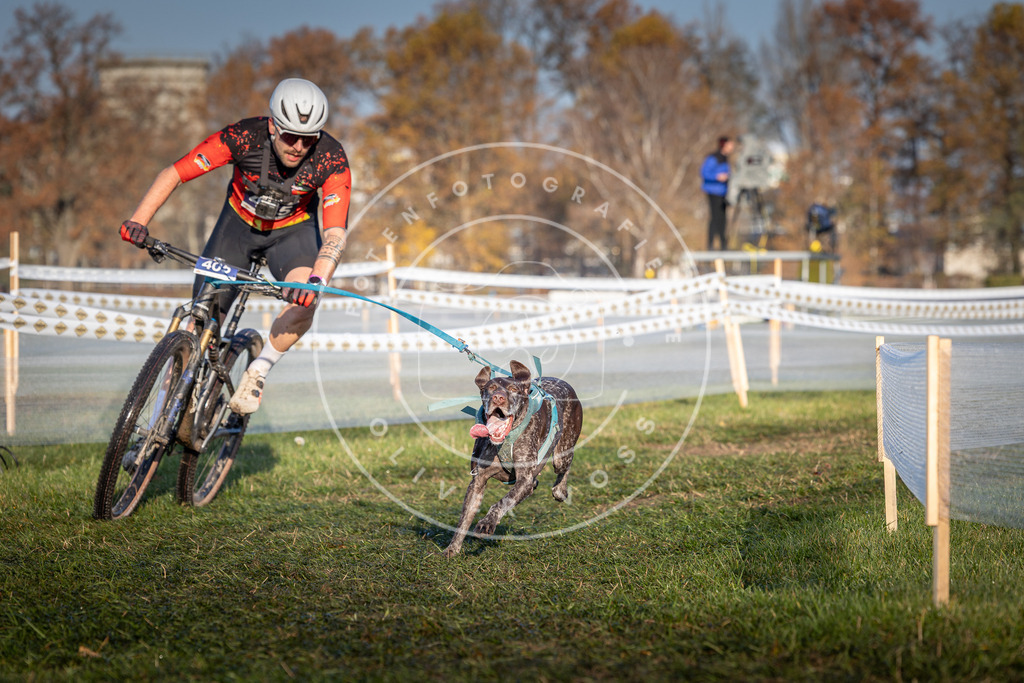 CaniXpix_0L8A4010 | Hundefotografie, Tierfotograf, Pfotenfotografie, Fotoshooting Hund, Hunde Portrait, Hundesport, Hundeportraits, Heideshooting, Hunde, Sportfotograf, Hundefotograf, Turnierhundsport, THS,  - Realisiert mit Pictrs.com