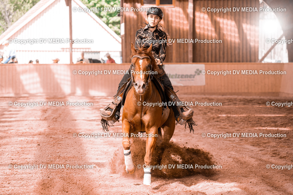 NE300755 | dv-media-shop - Realisiert mit Pictrs.com