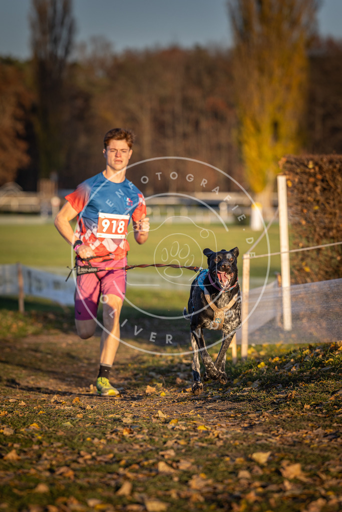 CaniXpix_DV3A4889 | Hundefotografie, Tierfotograf, Pfotenfotografie, Fotoshooting Hund, Hunde Portrait, Hundesport, Hundeportraits, Heideshooting, Hunde, Sportfotograf, Hundefotograf, Turnierhundsport, THS,  - Realisiert mit Pictrs.com
