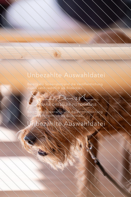 LR261_SD_05535 | saradresslerfotografie - Realisiert mit Pictrs.com