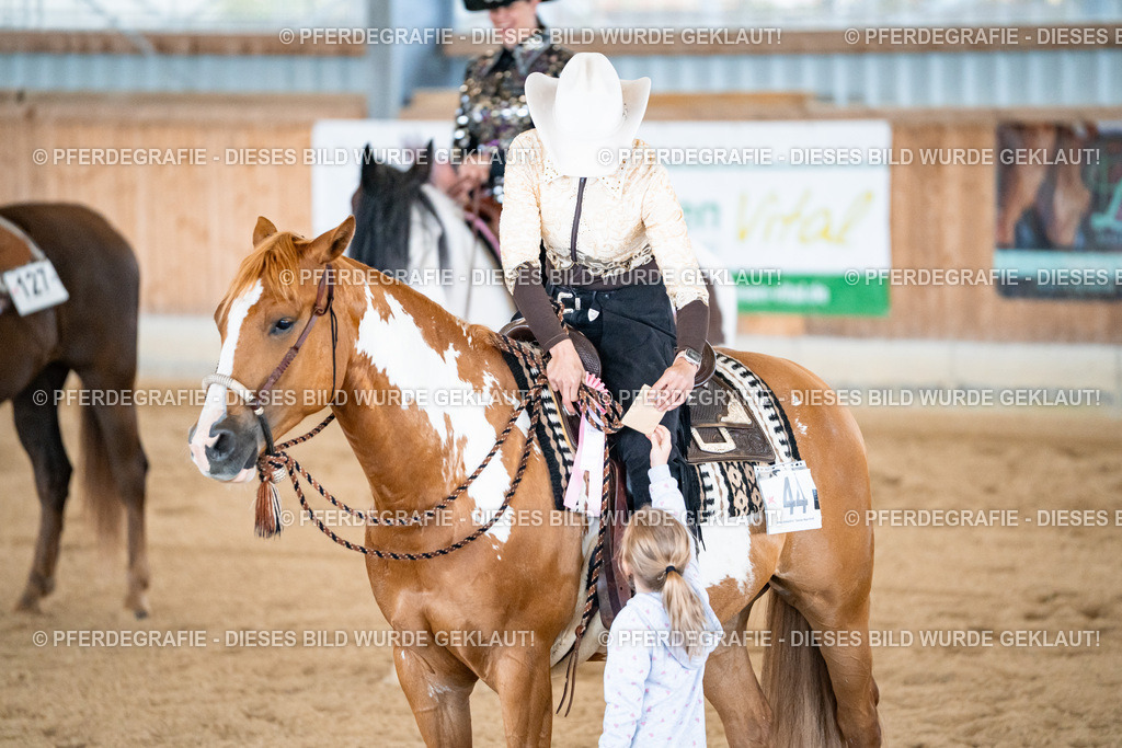 DSC02360 | Pferdegrafie